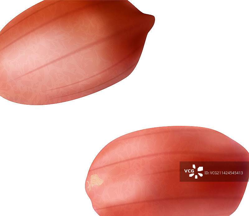 红色花生壳组合图片素材