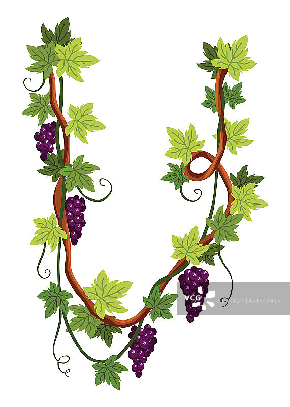 葡萄串浆果和叶子图片素材