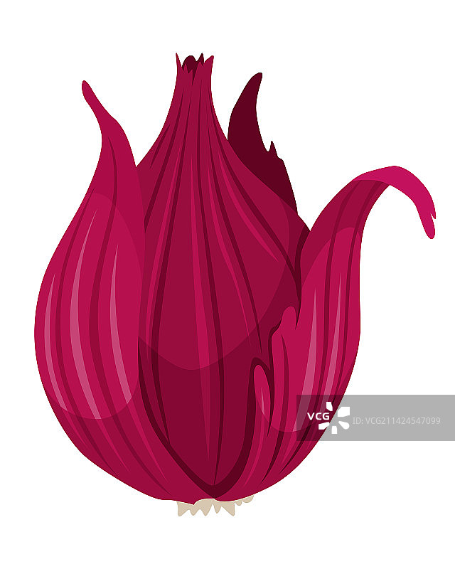 卡通完整洋葱农产品市场标志图片素材