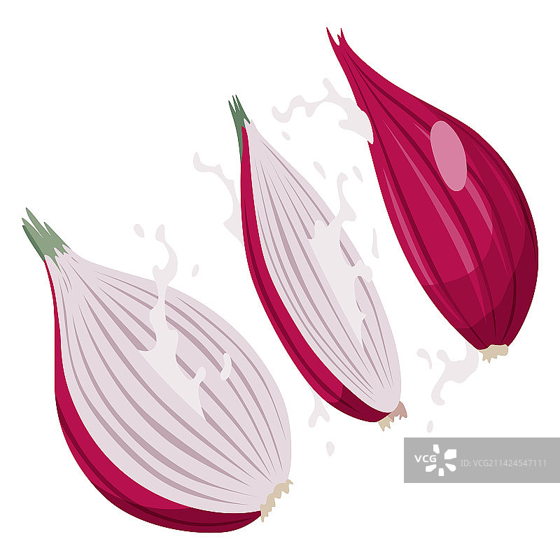 卡通切片洋葱，新鲜农贸市场标志图片素材