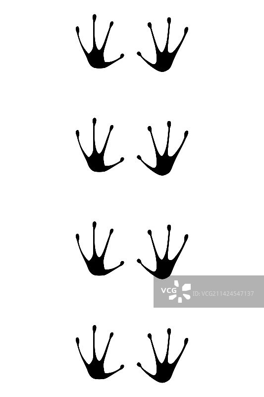 动物脚印：青蛙的黑色爪子图片素材