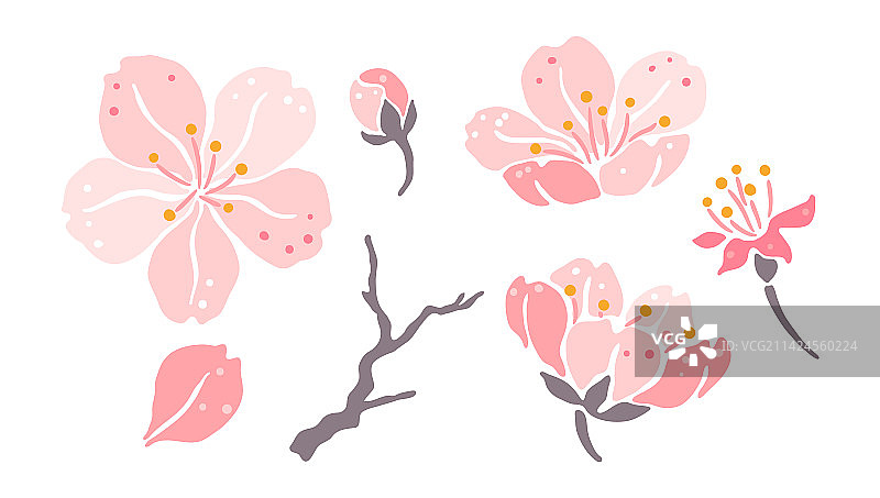 美丽装饰性植物樱花合集图片素材