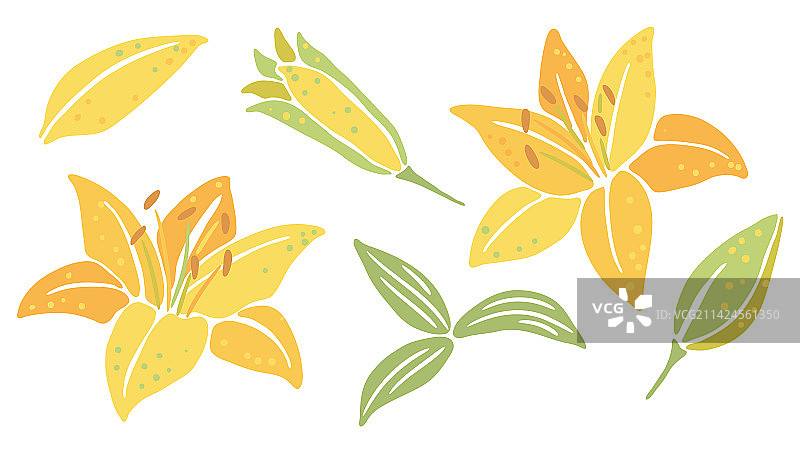 百合花装饰植物组合图片素材