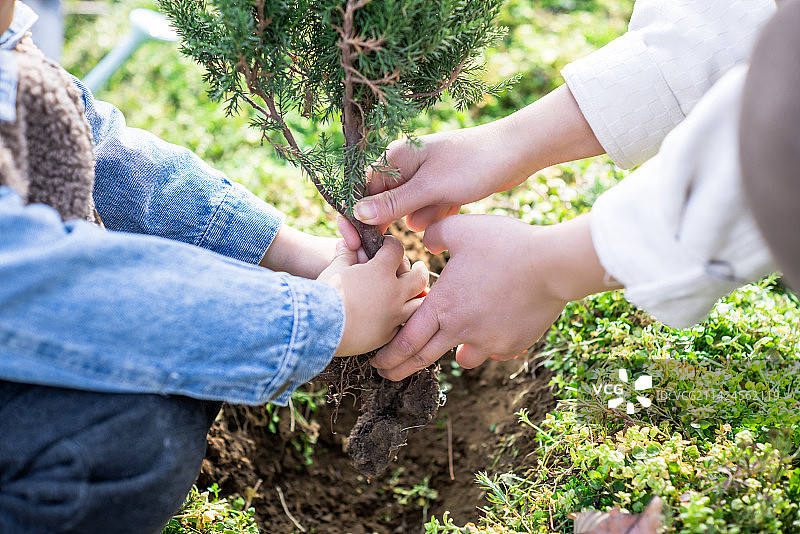 妈妈和儿子在植树节植树图片素材