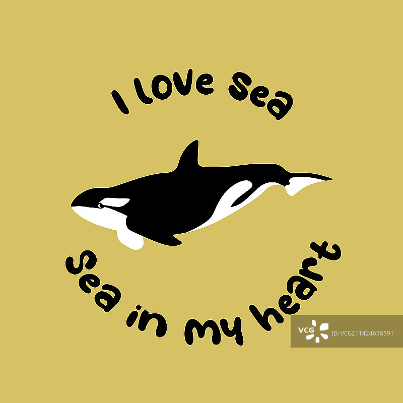 海洋与虎鲸图片素材