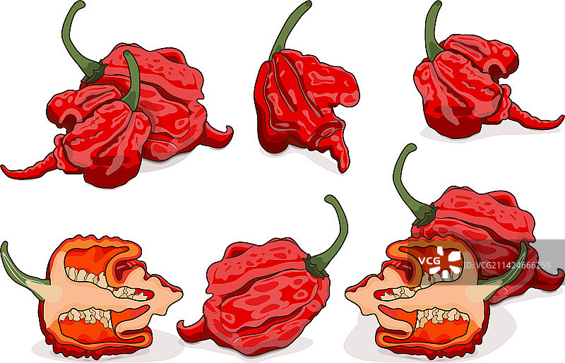 卡通风格卡罗来纳死神辣椒图片素材
