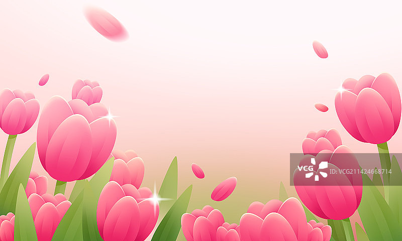 很多粉色郁金香图片素材