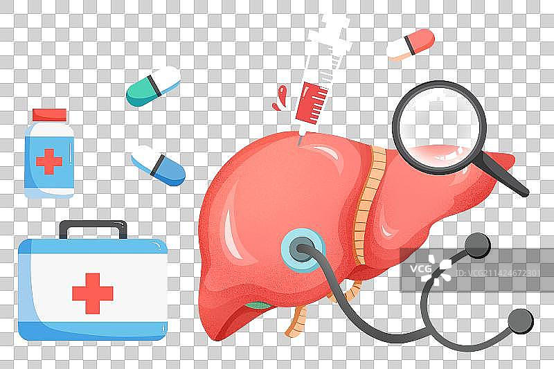 扁平肝脏检查医药箱图片素材