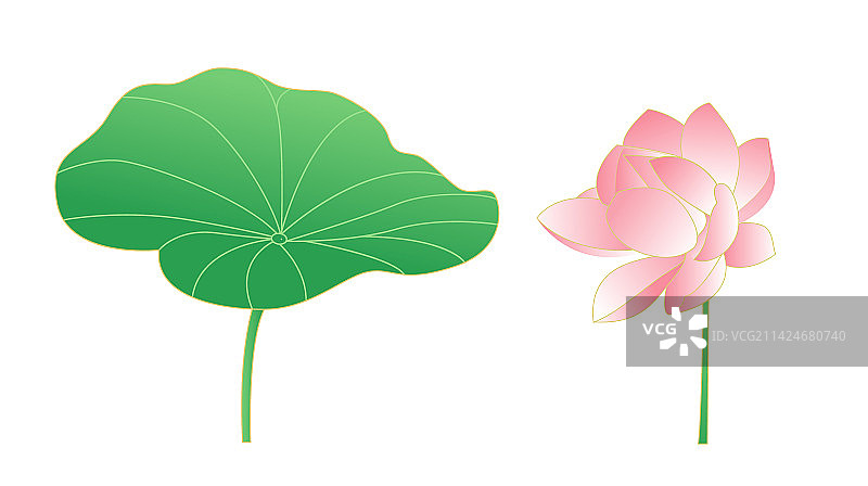 荷叶荷花插画元素图片素材