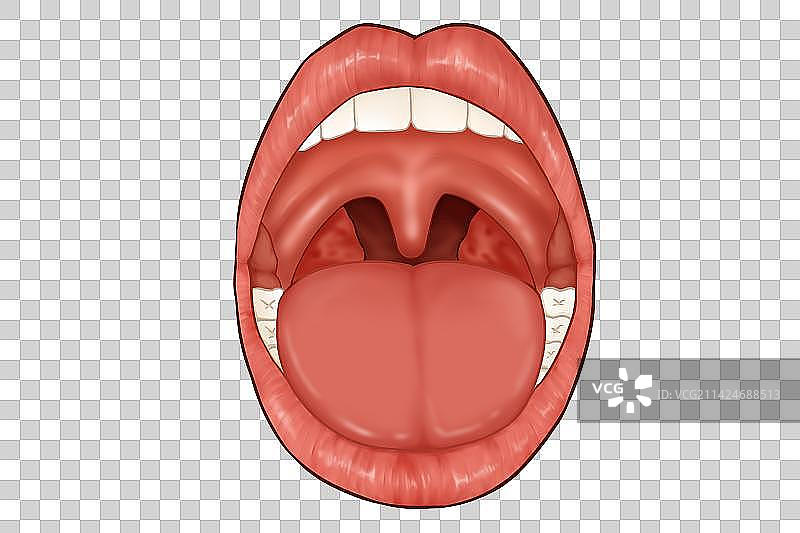 喉咙口腔免抠医学类插画图片素材