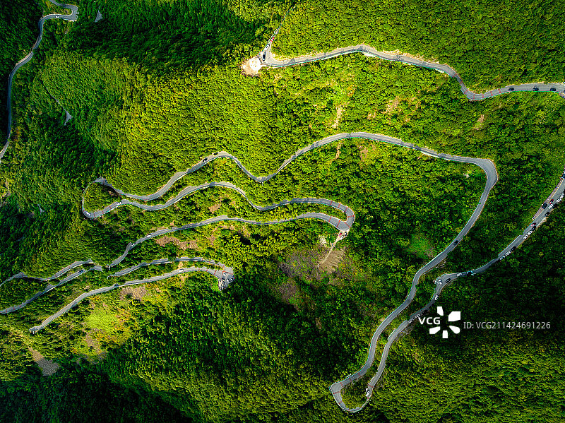 蓝天白云下竹林森林郁郁葱葱，远山如黛，蜿蜒的公路在树林里曲折穿行图片素材