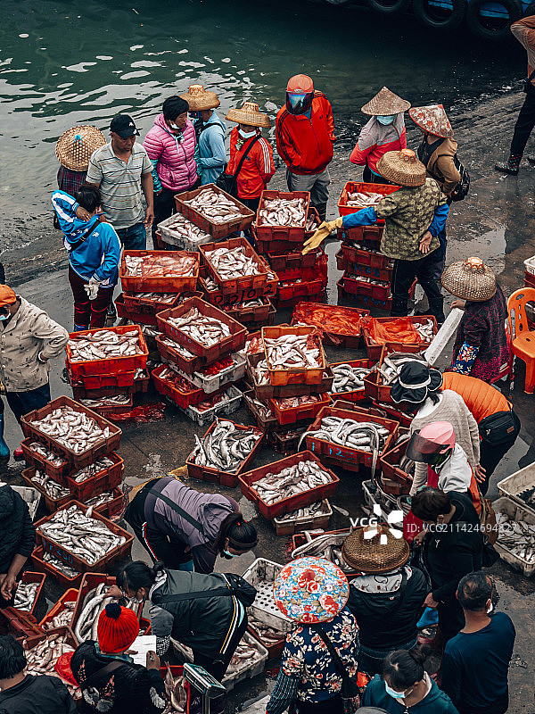 海南岛洋浦港白马井港口清晨鱼获图片素材