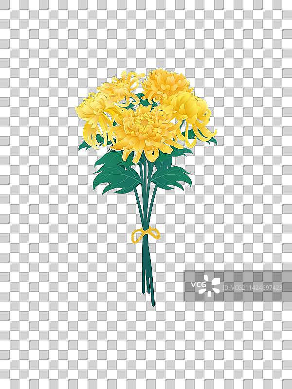 一束菊花图片素材