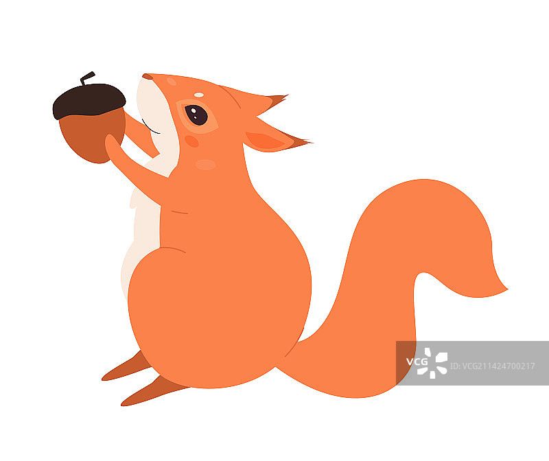 野生松鼠吃坚果图片素材