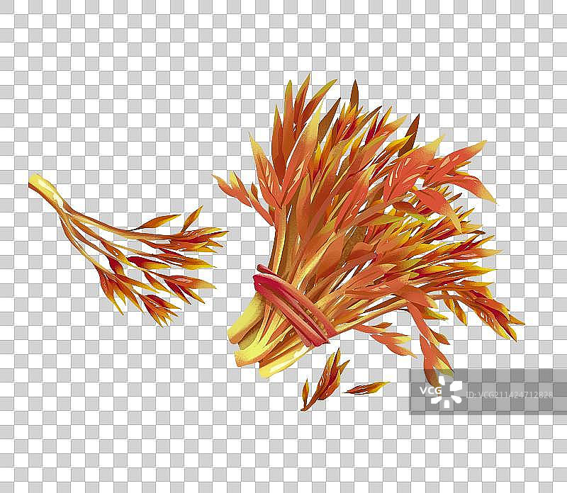 香椿芽插画元素图片素材