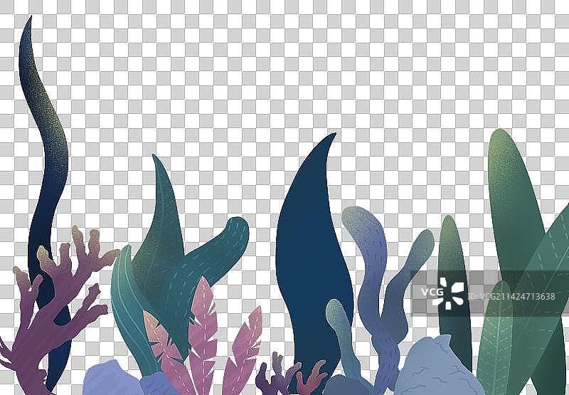 珊瑚海草图片素材