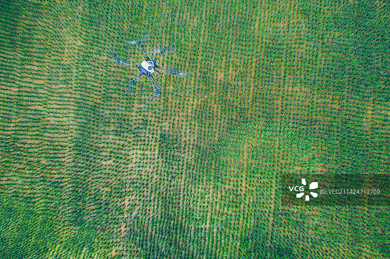 贵阳市无人机喷洒田野图片素材