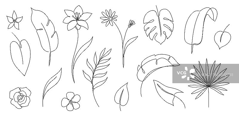 热带棕榈叶一笔画轮廓图片素材