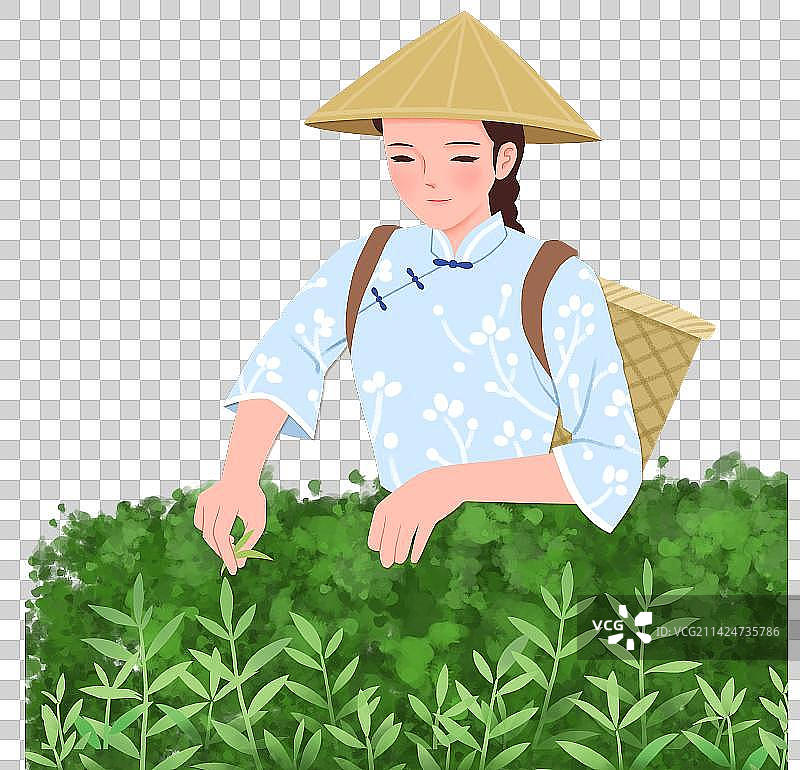 采茶姑娘图片素材