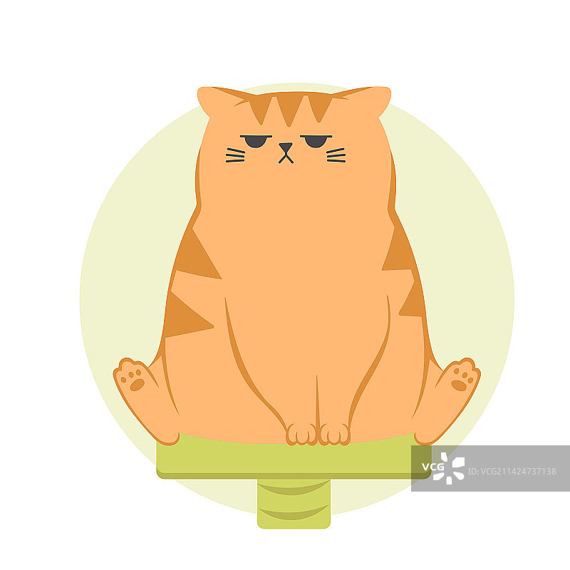 坐在猫身上的可爱趣味爱发脾气姜黄色猫图片素材