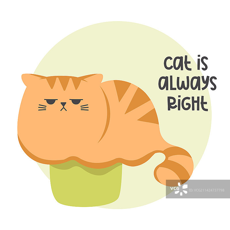 纸盒里可爱滑稽的姜黄色猫咪图片素材