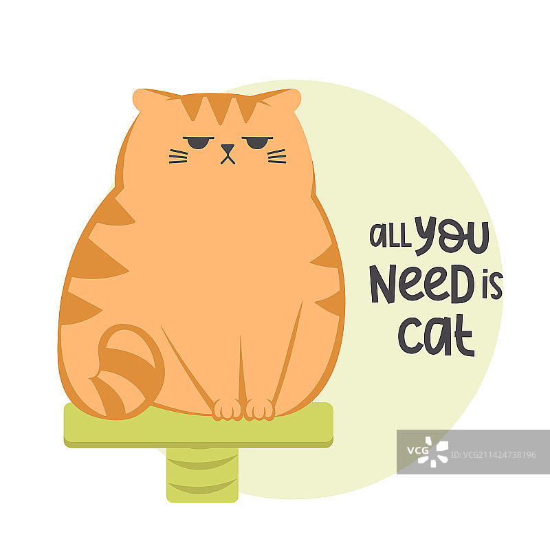 坐在猫身上的可爱趣味爱发脾气姜黄色猫图片素材