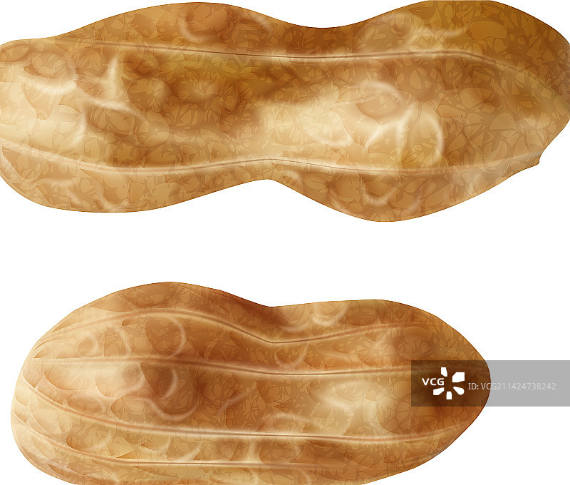 带壳花生组合图片素材