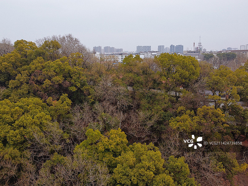黄冈 东坡赤壁 黄州区 月波楼  栖霞路 航拍 地标图片素材
