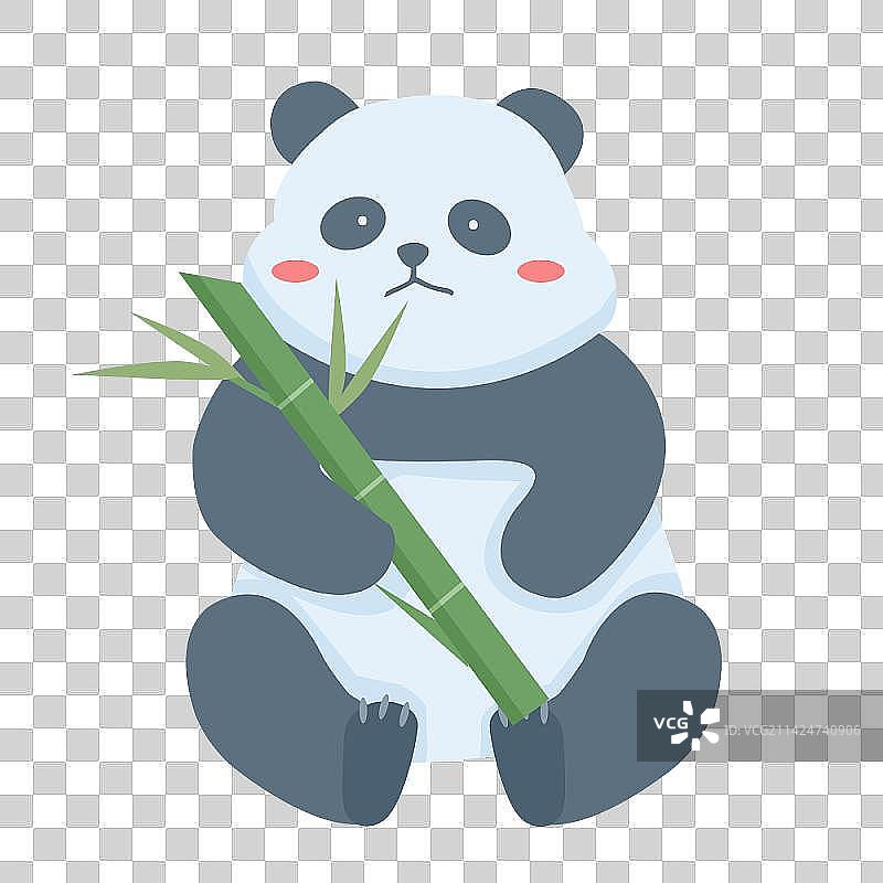 正在吃竹子的熊猫宝宝图片素材