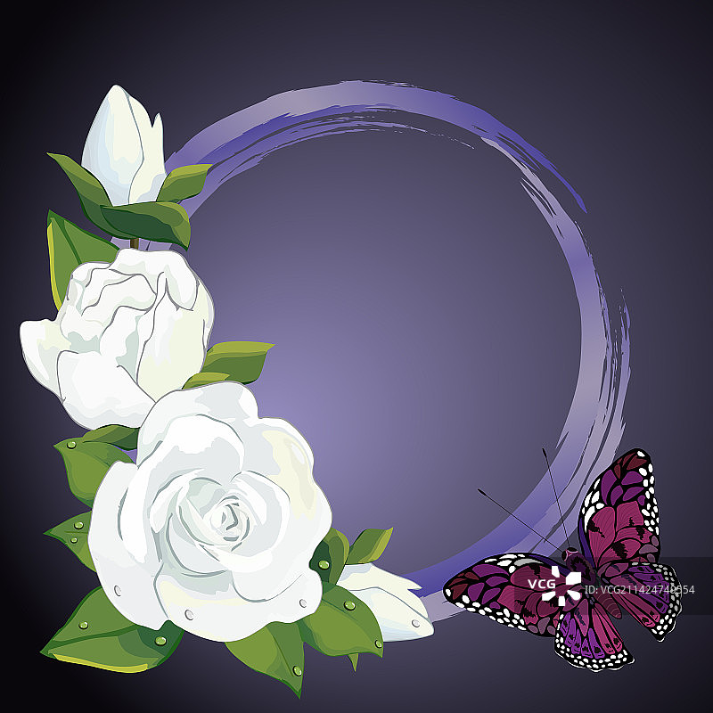 玫瑰与相框的优雅设计图片素材