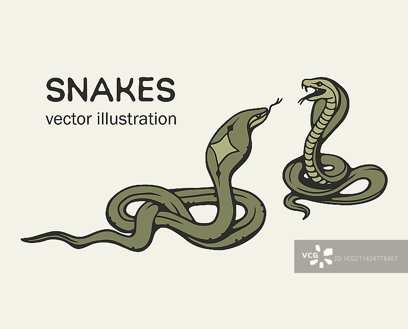手绘蛇图片素材