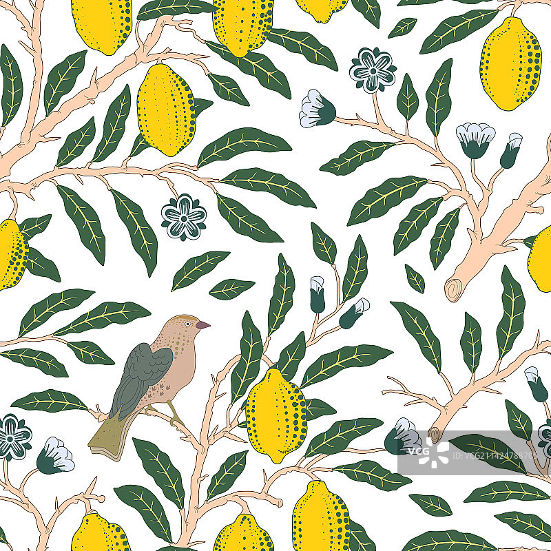 植物主题的无缝花卉图案图片素材