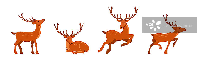 棕色带角细腿鹿图片素材