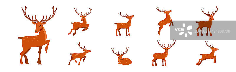 棕色带角细腿鹿图片素材