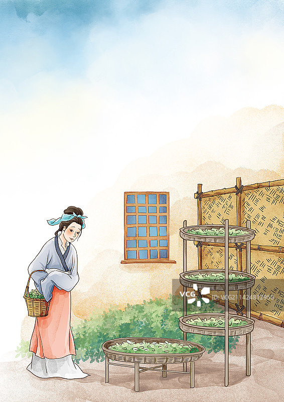 养蚕女图片素材