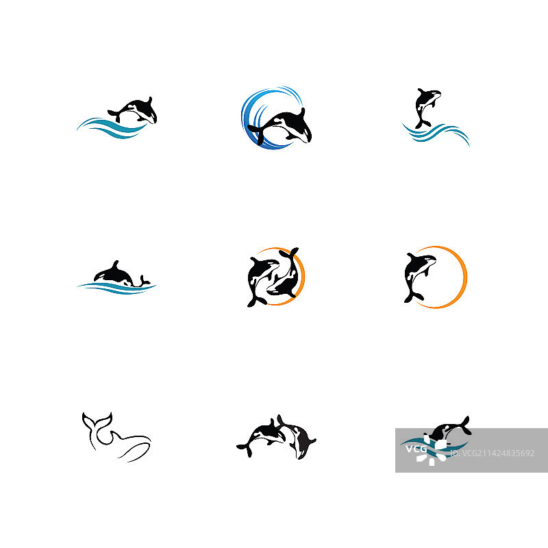 潮流设计虎鲸Logo图片素材