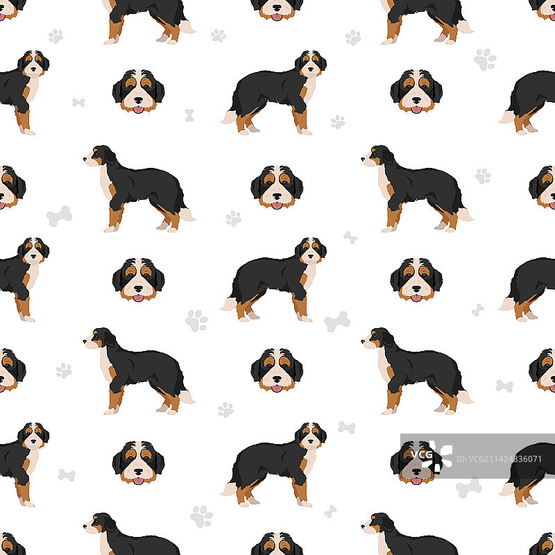 伯恩山犬杂交无缝图案图片素材