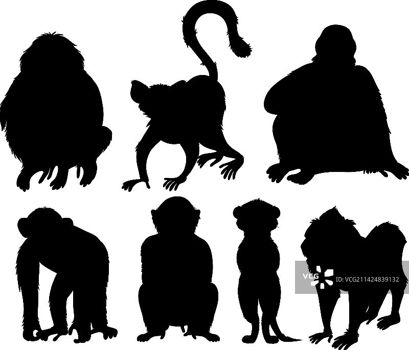 猿猴动物剪影合集图片素材