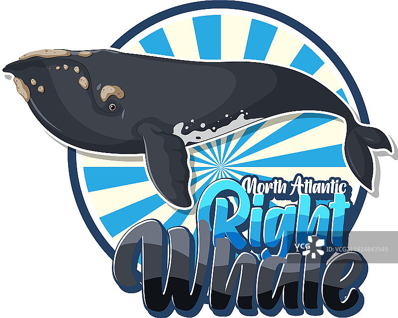卡通形象露脊鲸Logo图片素材