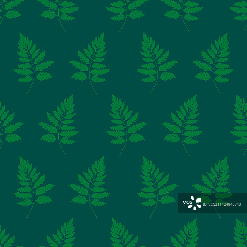 简约自然蕨类无缝图案图片素材