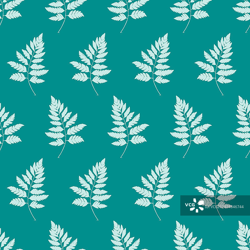简约自然蕨类无缝图案图片素材