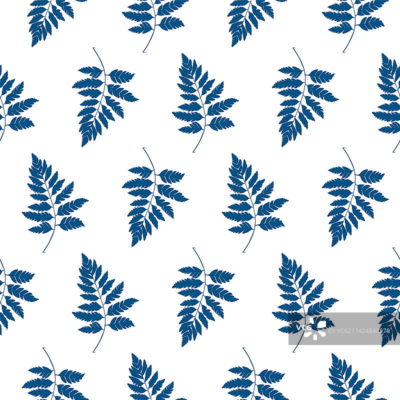 简约自然蕨类无缝图案图片素材