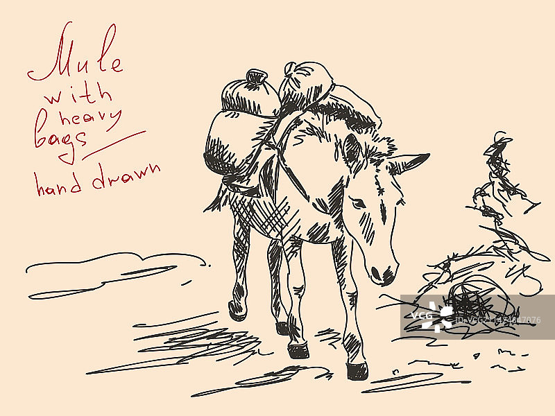 手绘骡子图片素材