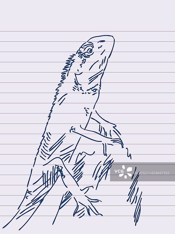 手绘蜥蜴图片素材