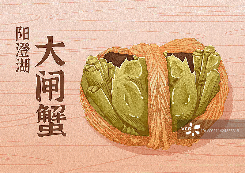 大闸蟹图片素材