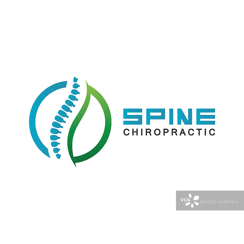 脊柱标志设计模板图片素材