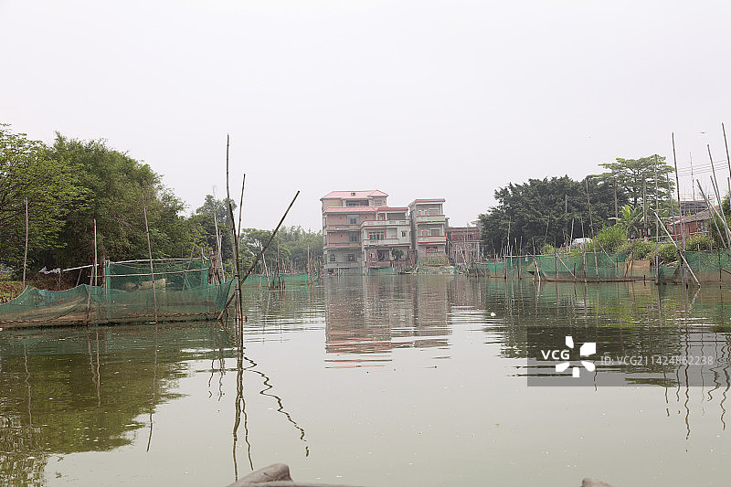 自然风光 鹤山古劳水乡图片素材