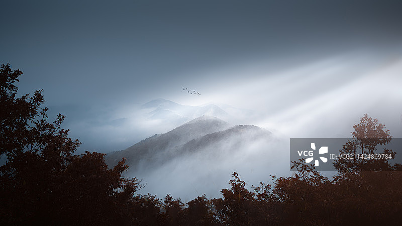 香港大帽山图片素材