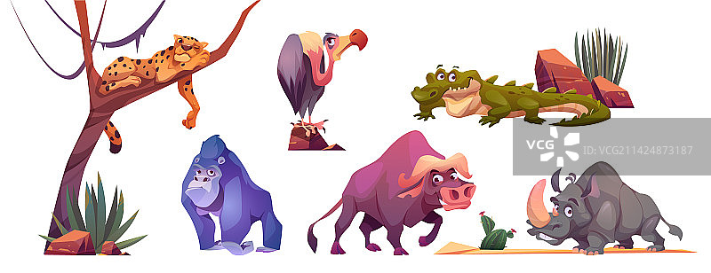 白色背景上的非洲野生动物卡通套装图片素材