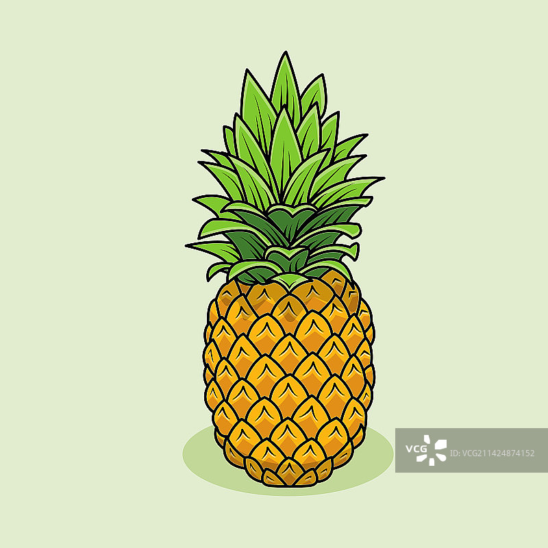 菠萝图片素材
